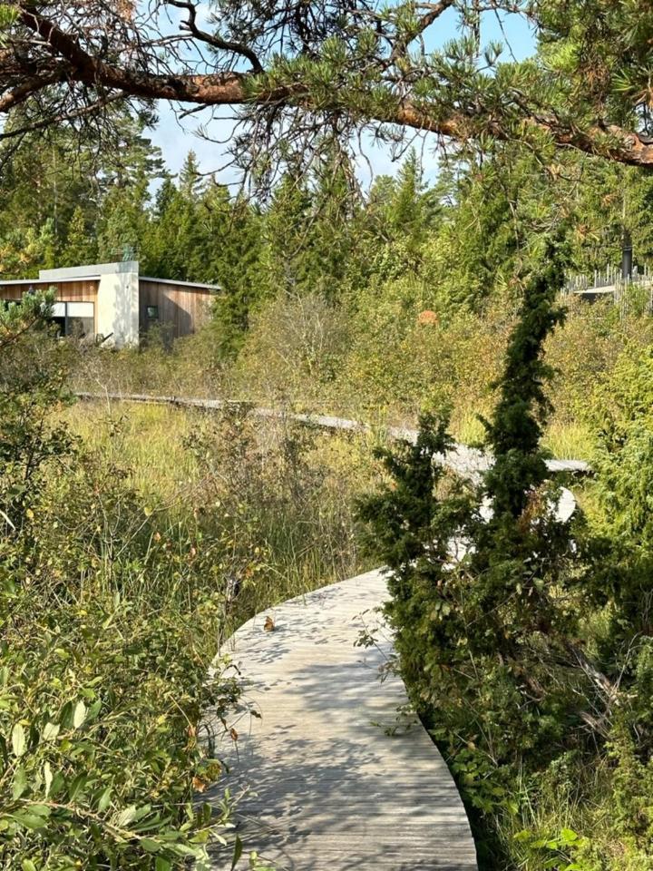Maven Kustnaera Stugor Kappelshamn Luaran gambar